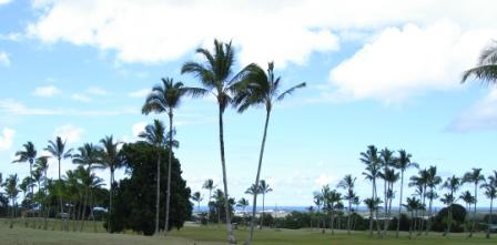 Hilo Bay from Hilo Golf course